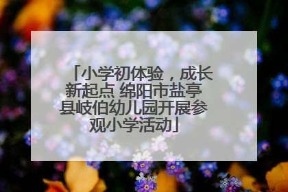 小学初体验，成长新起点 绵阳市盐亭县岐伯幼儿园开展参观小学活动